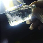 Micelio Liquido de Cogumelo Shimeji, Micélio em Meio Liquido
