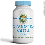 Cyanotis Vaga 200mg - 120 Cápsulas
