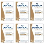 Ficha técnica e caractérísticas do produto Depiroll Tradicional Folhas Prontas Corporal C/16 (Kit C/06)