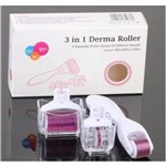 Ficha técnica e caractérísticas do produto Dermaroller 3 em 1 Derma Roller System Microagulhamento
