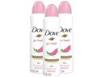 Ficha técnica e caractérísticas do produto Desodorante Aerosol Antitranspirante Feminino - Dove Go Fresh 150ml 3 Unidades