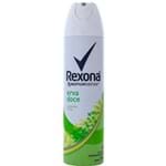 Ficha técnica e caractérísticas do produto Desodorante Aerossol Erva Doce Rexona 90g