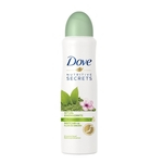 Ficha técnica e caractérísticas do produto Desodorante Antitranspirante Aerosol Nutritive Secrets Matcha e Flor de Sakura Feminino 150ml Dove - 1 Unidade