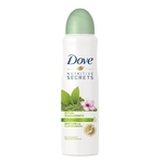 Ficha técnica e caractérísticas do produto Desodorante Antitranspirante Dove Matcha e Flor Sakura 150ml
