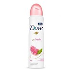 Ficha técnica e caractérísticas do produto Desodorante Dove Aerosol Go Fresh Romã e Verbena com 150ml