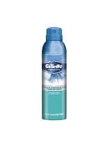 Ficha técnica e caractérísticas do produto Desodorante Gillette Aerosol Fresh 93G