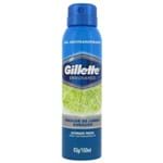 Ficha técnica e caractérísticas do produto Desodorante Spray Gillette Ultimate Fresh 93g