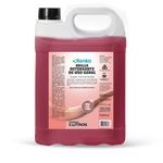 Ficha técnica e caractérísticas do produto Detergente de uso Geral Brillia Super Concentrado - 05 litros