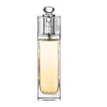 Ficha técnica e caractérísticas do produto Dior Addict Dior - Perfume Feminino - Eau de Toilette 100ml