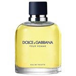 Ficha técnica e caractérísticas do produto Dolce & Gabbana Eau de Toilette Pour Home