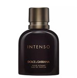 Ficha técnica e caractérísticas do produto Dolce Gabbana Pour Homme Intense EDP 40ml Masculino