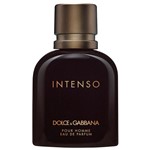 Ficha técnica e caractérísticas do produto Dolce Gabbana Pour Homme Intenso Eau de Parfum Masculino