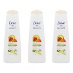 Ficha técnica e caractérísticas do produto Dove Ritual Fortalecimento Shampoo 400ml (Kit C/03)
