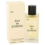 Ficha técnica e caractérísticas do produto Perfume Feminino Iceberg Eau de Toilette - 100ml