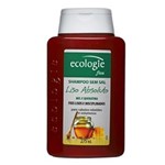 Ficha técnica e caractérísticas do produto Ecologie Fios Absoluto Ecologie - Shampoo Disciplinador - 275ml - 275ml
