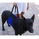 Ficha técnica e caractérísticas do produto Elevador c?o com al?a de Apoio Pet Handbag Strap Pet com prote??o Dog Belt