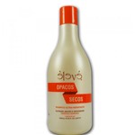 Èlevé - Shampoo Dull Dry P/ Cabelos Opacos e Secos - 550ml - Èlevé