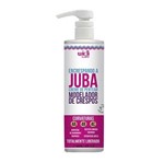 Ficha técnica e caractérísticas do produto Encrespando a Juba Creme de Pentear Cachos 500ml - Widi Care