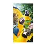 Ficha técnica e caractérísticas do produto Enxovais Banho Adulto Toalha Praia Buettner -Velour Resort Macaws