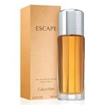 Ficha técnica e caractérísticas do produto Escape Eau de Parfum 100 Ml - Calvin Klein