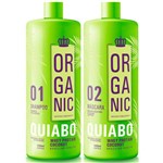Ficha técnica e caractérísticas do produto Escova Progressiva de Quiabo Organic Fio Perfeitto 2 x 1L