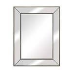 Ficha técnica e caractérísticas do produto Espelho Retangular com Moldura em Prata - 68x88cm