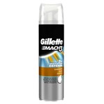 Ficha técnica e caractérísticas do produto Espuma Gillette Mach3 Refrescante 245g