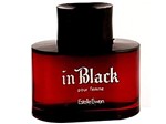 Ficha técnica e caractérísticas do produto Estelle Ewen In Black For Woman - Perfume Feminino Eau de Parfum 100ml