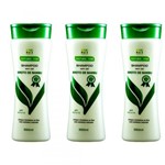 Ficha técnica e caractérísticas do produto Evo Broto Bambu Shampoo 350ml (Kit C/03)