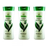 Evo Broto Bambu Shampoo 350ml (kit C/12)