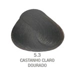 Ficha técnica e caractérísticas do produto Evolution Coloração Creme 5.3 Castanho Claro Doura - Alfaparf