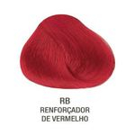 Ficha técnica e caractérísticas do produto Evolution Coloração Creme Rb Reforcador De Vermelho 60ml