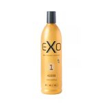 Ficha técnica e caractérísticas do produto EXO Hair Access Shampoo 500ml (Passo 1)