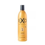 Ficha técnica e caractérísticas do produto Exo Hair Access Shampoo 500ml