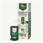 Ficha técnica e caractérísticas do produto Extrato de Própolis Verde Orgânico 30ml Apisflora - Apis Flora