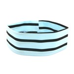Ficha técnica e caractérísticas do produto Faixa Fina para Cabelo na Cor Azul Bebê com Listras Preta - Bijoulux