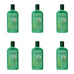 Ficha técnica e caractérísticas do produto Farmaervas Babosa/ Ginseng Shampoo 320ml (Kit C/06)
