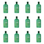 Ficha técnica e caractérísticas do produto Farmaervas Babosa/ Ginseng Shampoo 320ml (Kit C/12)