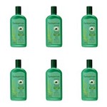 Ficha técnica e caractérísticas do produto Farmaervas Babosae Ginseng Shampoo 320ml - Kit com 06