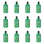 Ficha técnica e caractérísticas do produto Farmaervas Babosae Ginseng Shampoo 320ml - Kit com 12