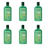 Ficha técnica e caractérísticas do produto Farmaervas Jaborandi Shampoo 320ml - Kit com 06