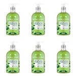 Farmax Hidraderm Sabonete Liquido Maça Verde C/ Glicerina 480ml (kit C/06)