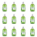 Ficha técnica e caractérísticas do produto Farmax Hidraderm Sabonete Liquido Maça Verde C/ Glicerina 480ml (kit C/12)