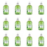 Ficha técnica e caractérísticas do produto Farmax Hidraderm Sabonete Liquido Maça Verde C/ Glicerina 480ml (Kit C/12)