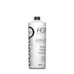 Ficha técnica e caractérísticas do produto Felps Omega Zero Shampoo que Alisa 500ml