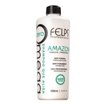 Ficha técnica e caractérísticas do produto Felps Shampoo que Alisa Omega Zero Amazon 500Ml