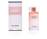 Ficha técnica e caractérísticas do produto Fleur de Pecher de Karl Lagerfeld Eau de Parfum Feminino 100 Ml