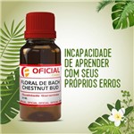 Ficha técnica e caractérísticas do produto Floral de Bach Chestnut Bud 30ml - Oficialfarma