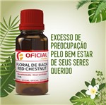 Ficha técnica e caractérísticas do produto Floral de Bach Red Chestnut 30Ml