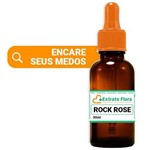Ficha técnica e caractérísticas do produto Floral de Bach - Rock Rose 30ml